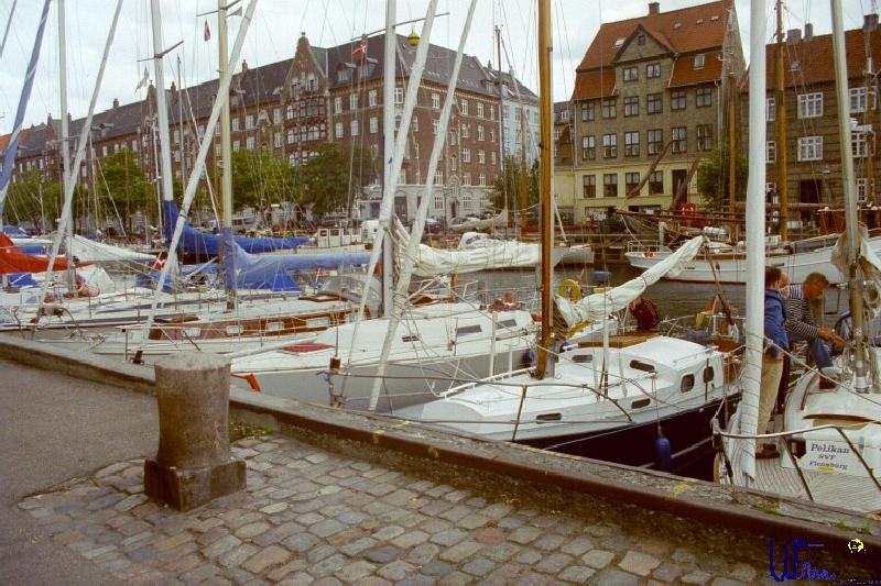 sommer2005_011