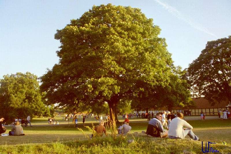 sommer2005_022