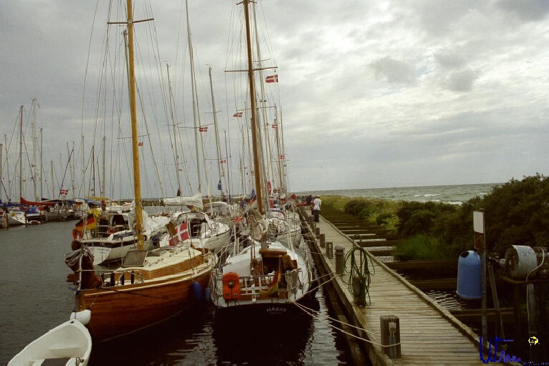 sommer2005_023