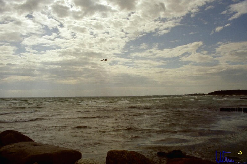 sommer2005_025