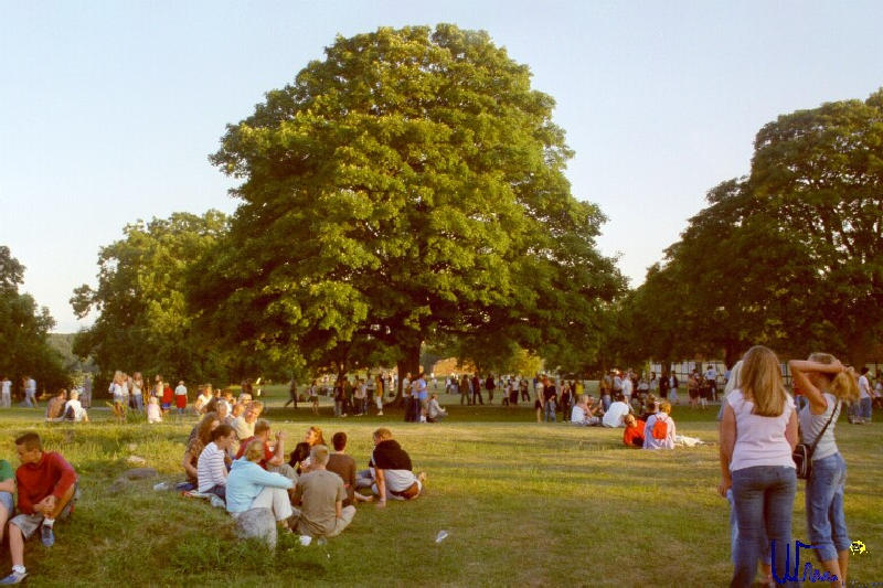 sommer2005_027