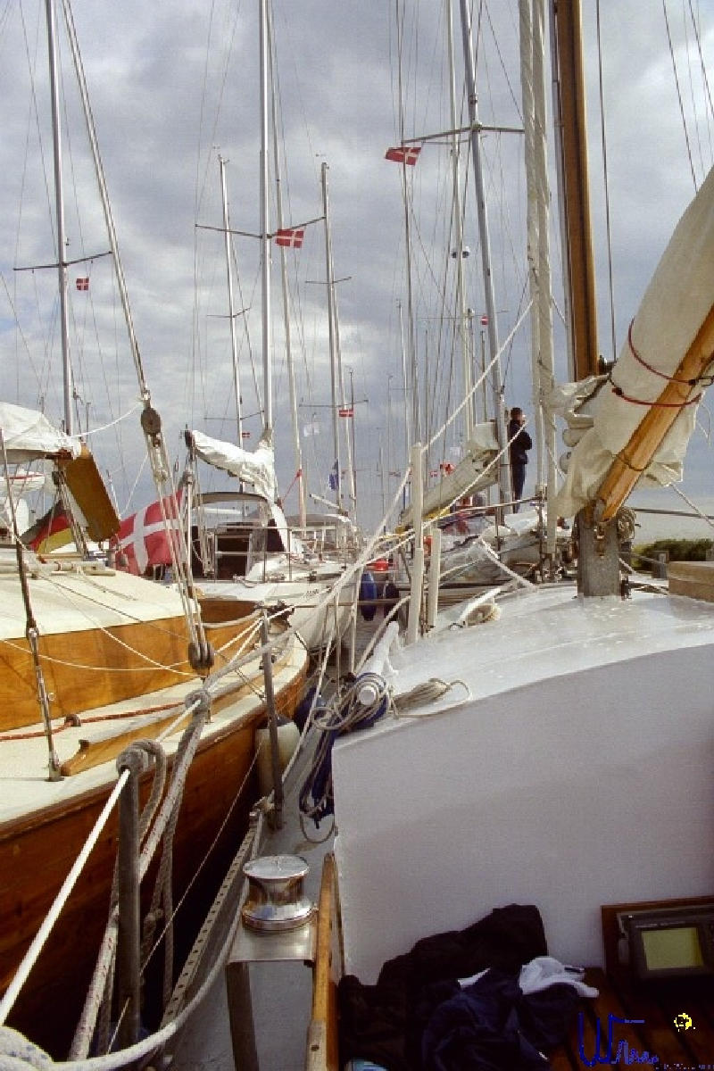 sommer2005_028