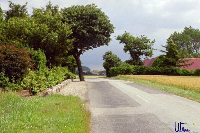sommer2005_032