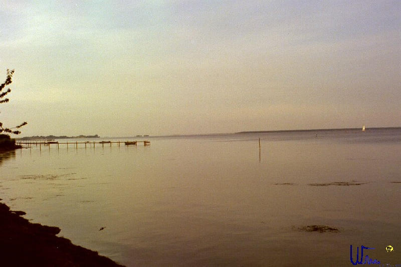 sommer2005_039