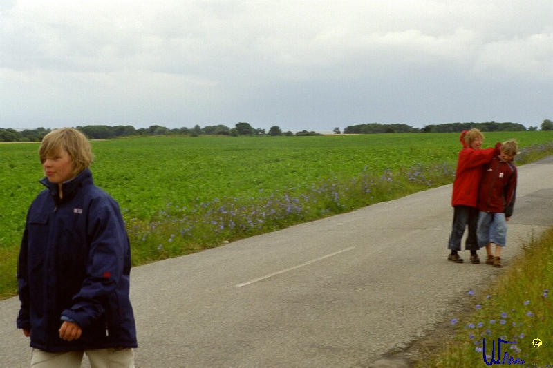 sommer2005_040