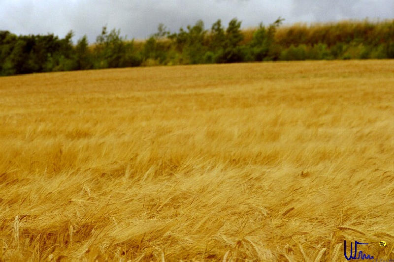 sommer2005_044