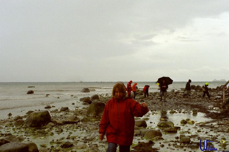 sommer2005_052