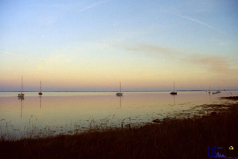 sommer2005_087