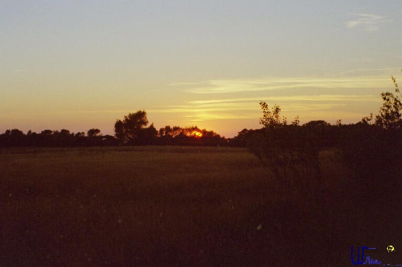 sommer2005_090