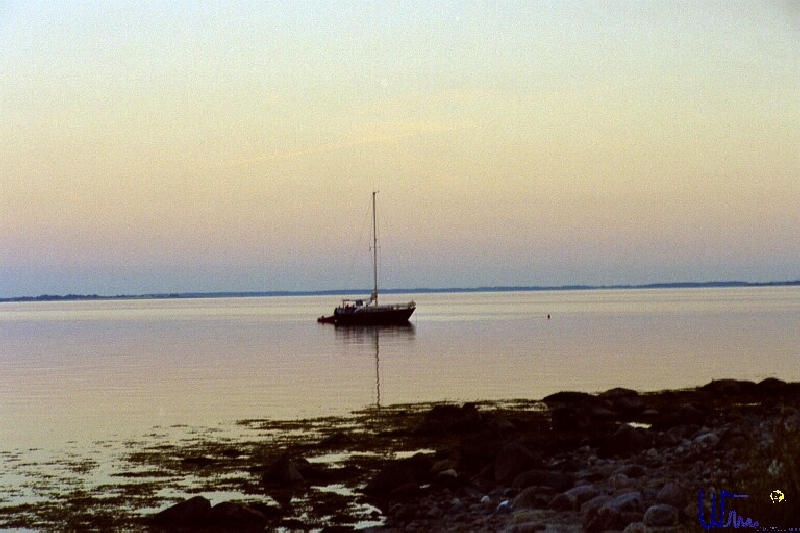 sommer2005_093