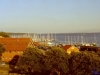 sommer2005_005