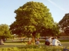 sommer2005_022