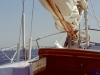 sommer2005_037