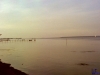 sommer2005_039
