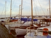 sommer2005_043