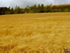 sommer2005_044