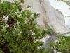 sommer2005_048