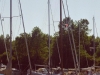 sommer2005_068