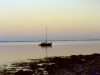 sommer2005_093