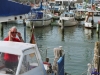 sommer2007_010