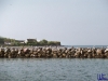sommer2007_017