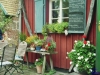 sommer2007_054