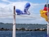 sommer2008_001
