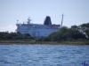 sommer2008_015