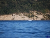 sommer2008_024