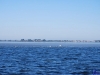 sommer2008_025
