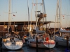 sommer2008_034
