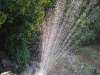 sommer2008_063