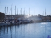 sommer2008_080