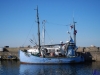sommer2008_083