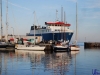 sommer2008_095