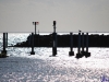 sommer2008_120