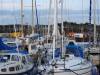 sommer2008_129