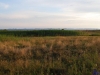 sommer2008_132