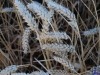 sommer2008_135