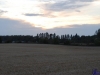 sommer2008_136