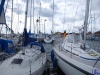 sommer2008_141