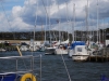 sommer2008_143