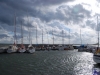 sommer2008_144