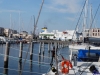 sommer2008_154