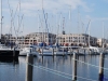 sommer2008_155