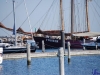 sommer2008_159