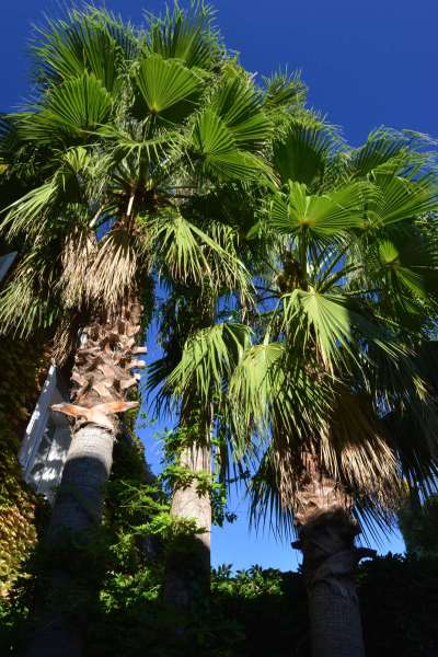 st_tropez_0071