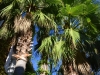 st_tropez_0071