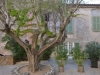 st_tropez_0076