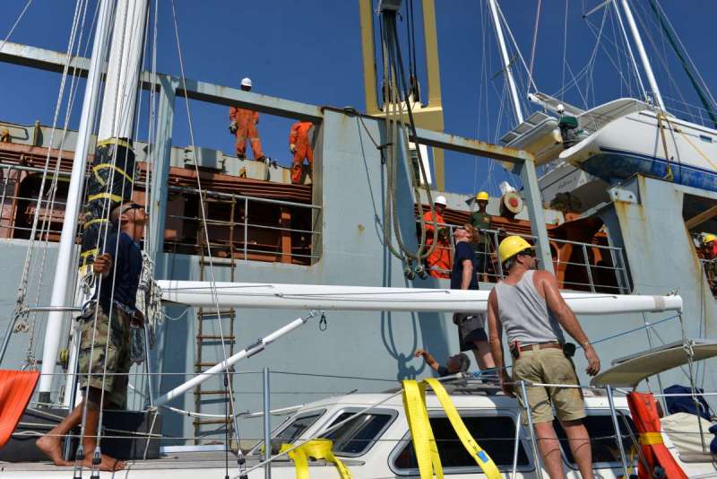 stormvogel_loading_0031